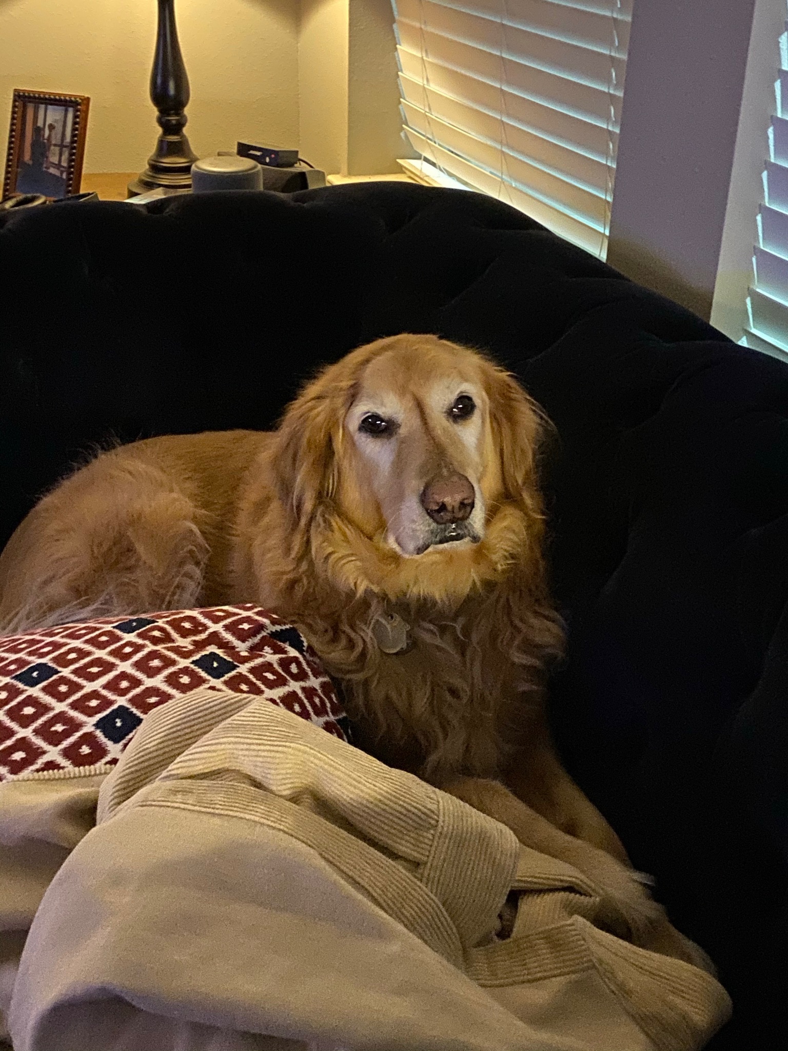 Louie memory
